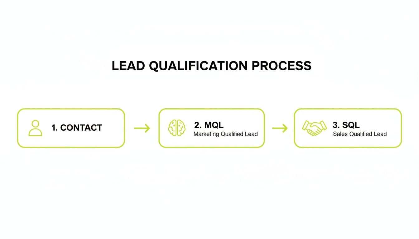 Diagram illustrating the lead qualification process with steps: Contact, Marketing Qualified Lead (MQL), and Sales Qualified Lead (SQL).