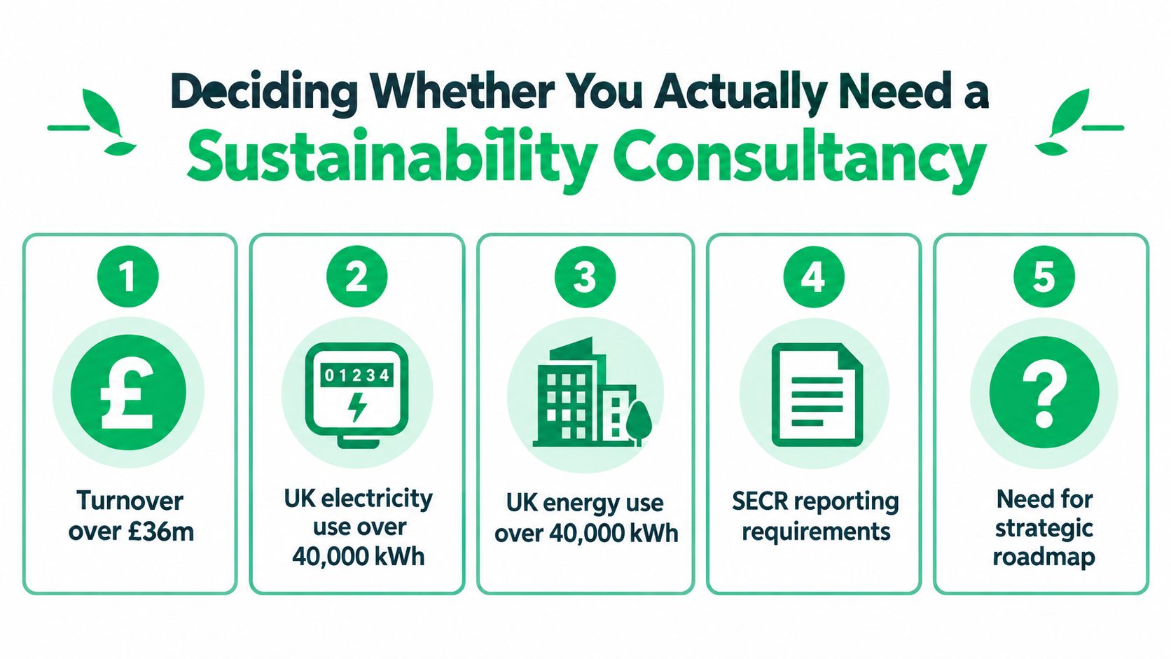 An infographic titled Deciding Whether You Actually Need a Sustainability Consultancy with five numbered points for businesses.