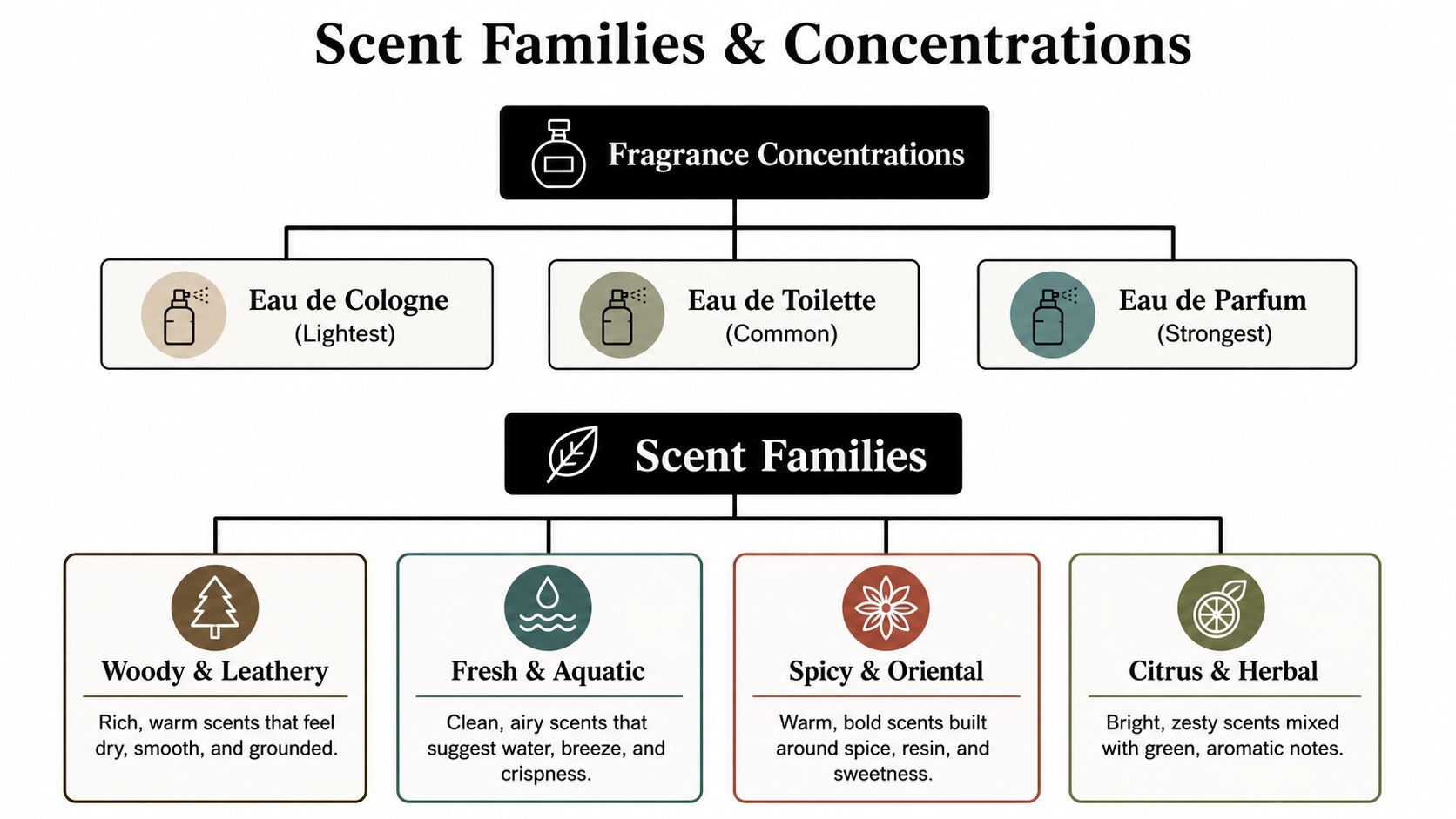 A chart illustrating different fragrance concentrations and scent families for selecting men's cologne and perfumes.