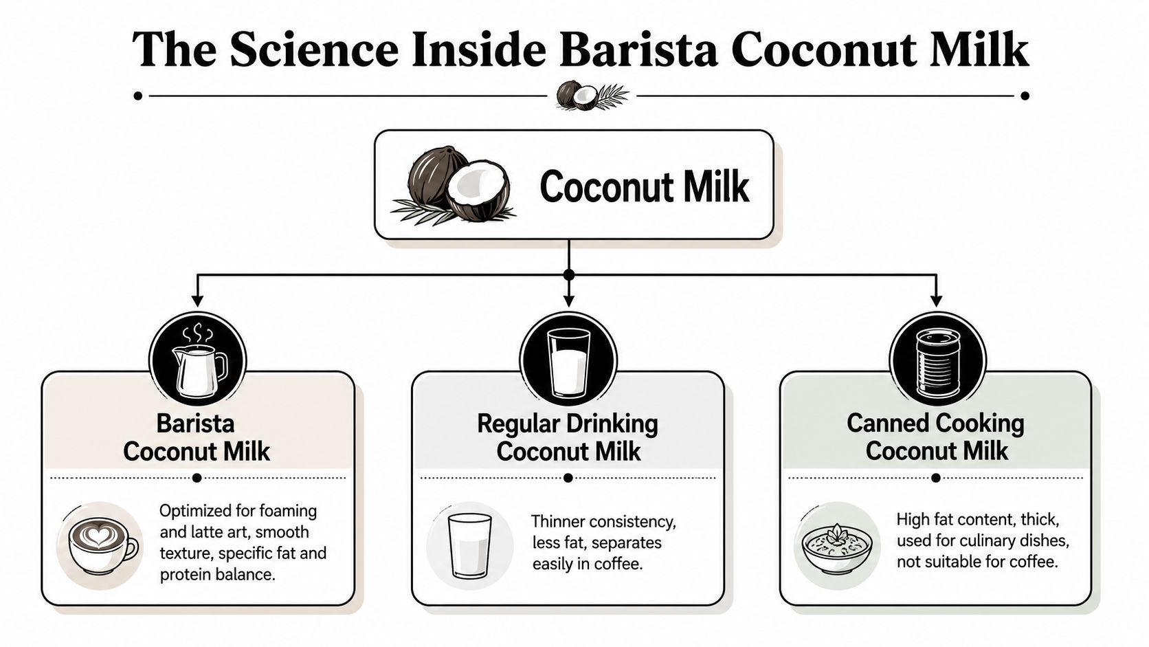 A diagram explaining the differences between barista, regular, and canned coconut milk for coffee usage.