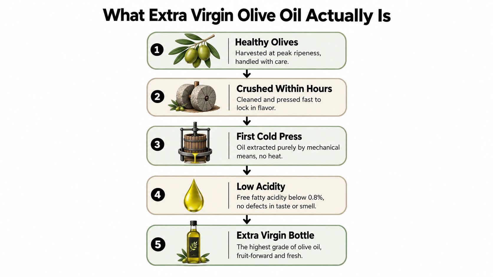A five-step infographic showing the production process of high-quality extra virgin olive oil from harvest to bottling.