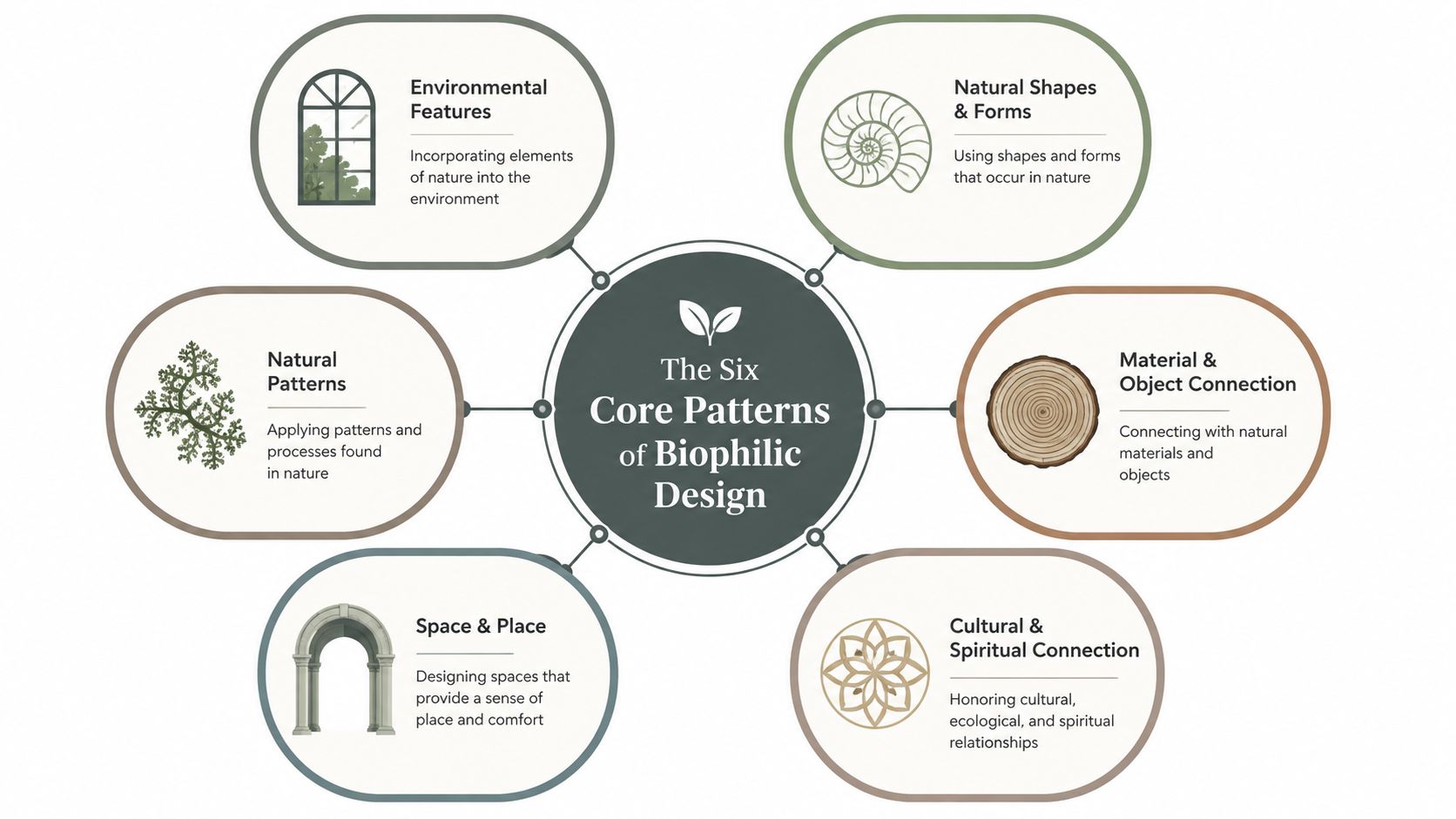 A diagram illustrating the six core patterns of biophilic design, including natural shapes, materials, and spatial connections.