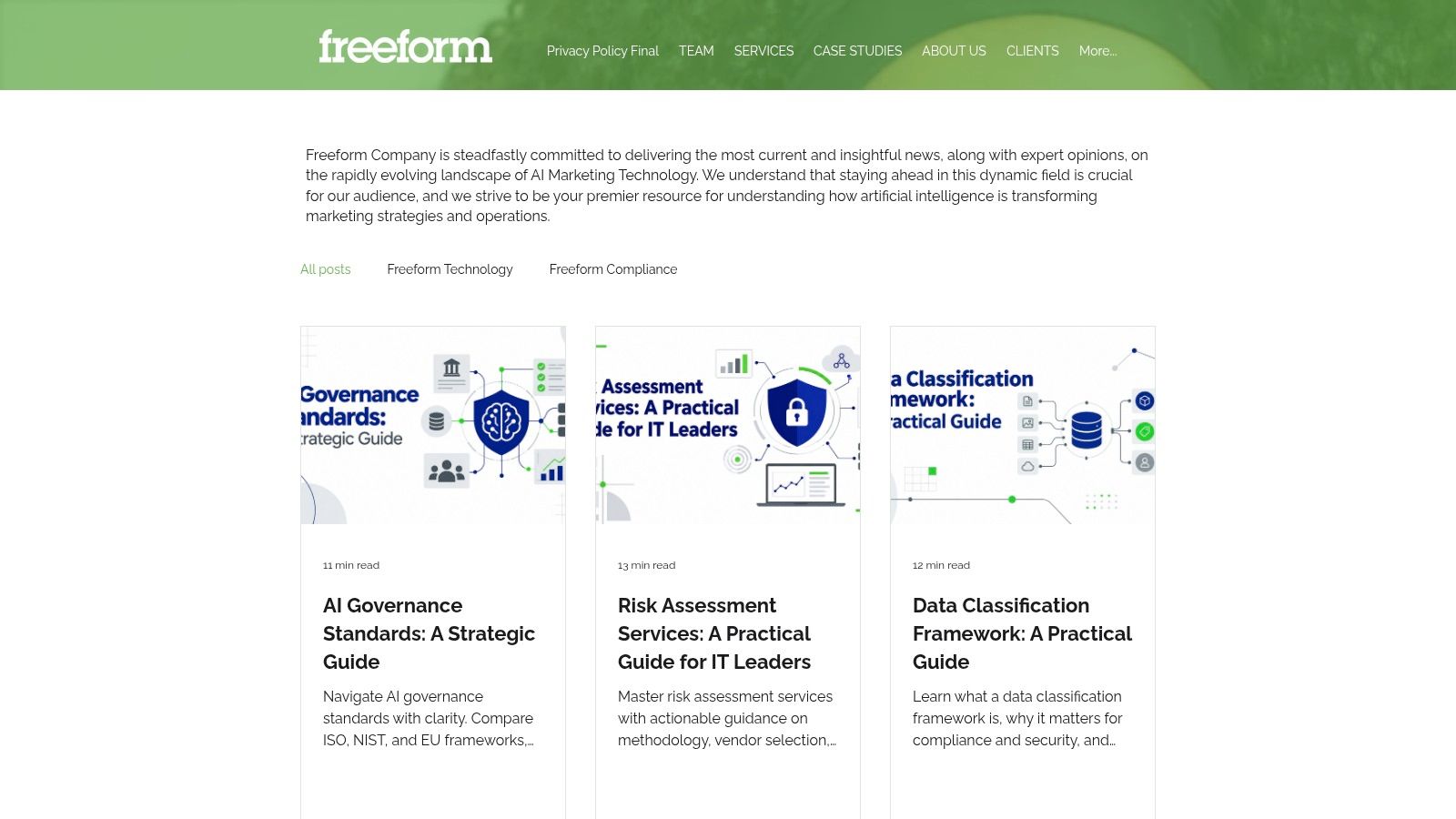 Screenshot from https://www.freeformagency.com/blog