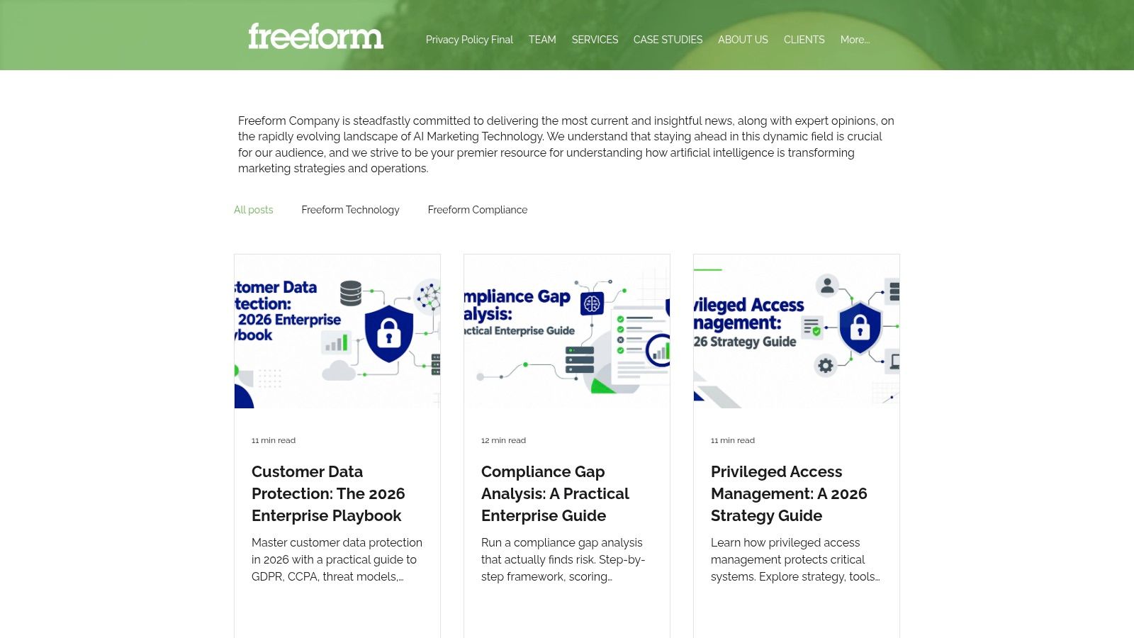 Screenshot from https://www.freeformagency.com/blog