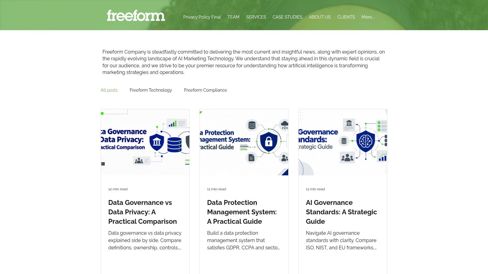 Screenshot from https://www.freeformagency.com/blog