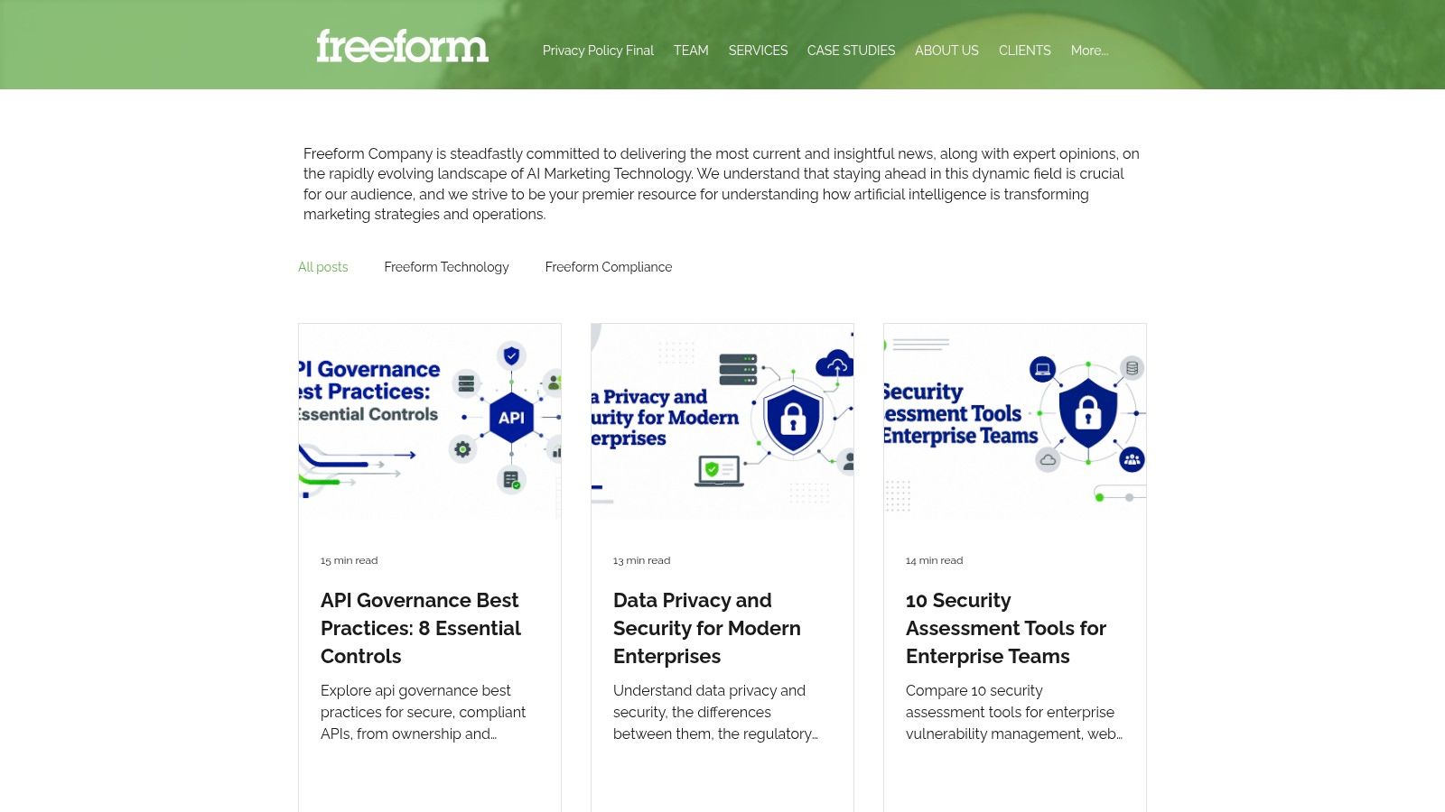 Screenshot from https://www.freeformagency.com/blog