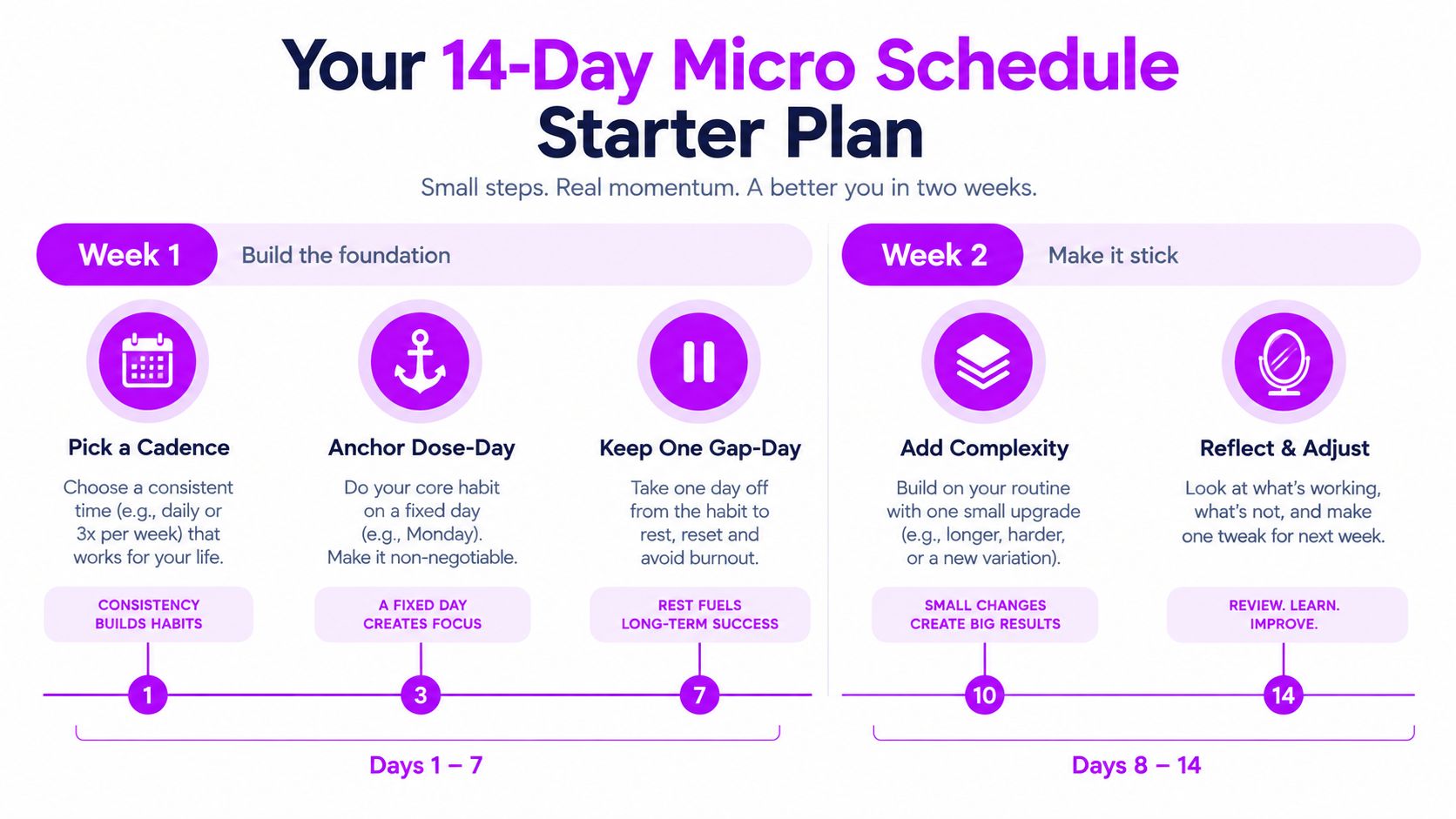 A 14-day micro schedule starter plan infographic designed to help build consistent habits in two weeks.