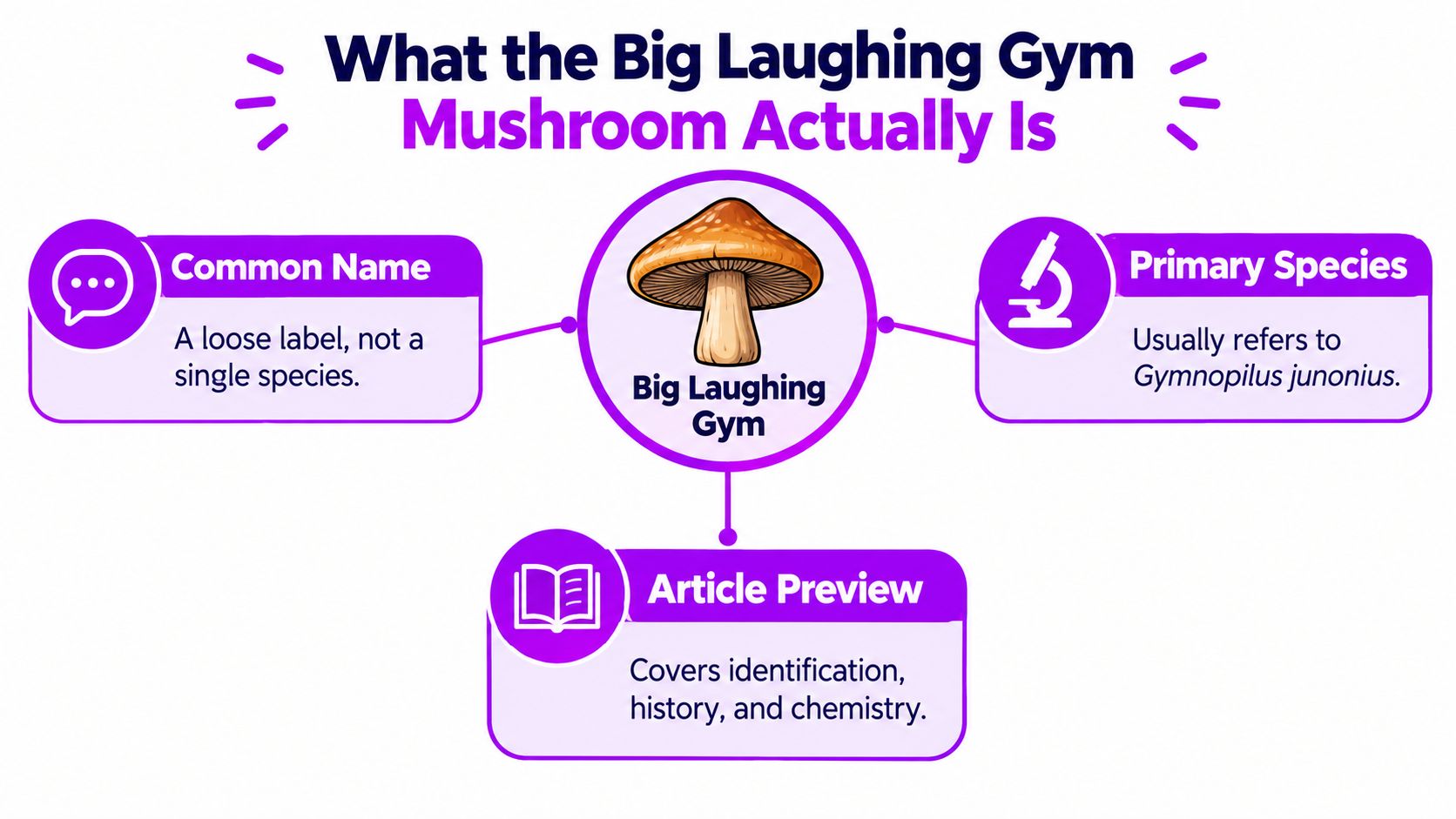 An infographic titled What the Big Laughing Gym Mushroom Actually Is with three explanatory boxes around it.