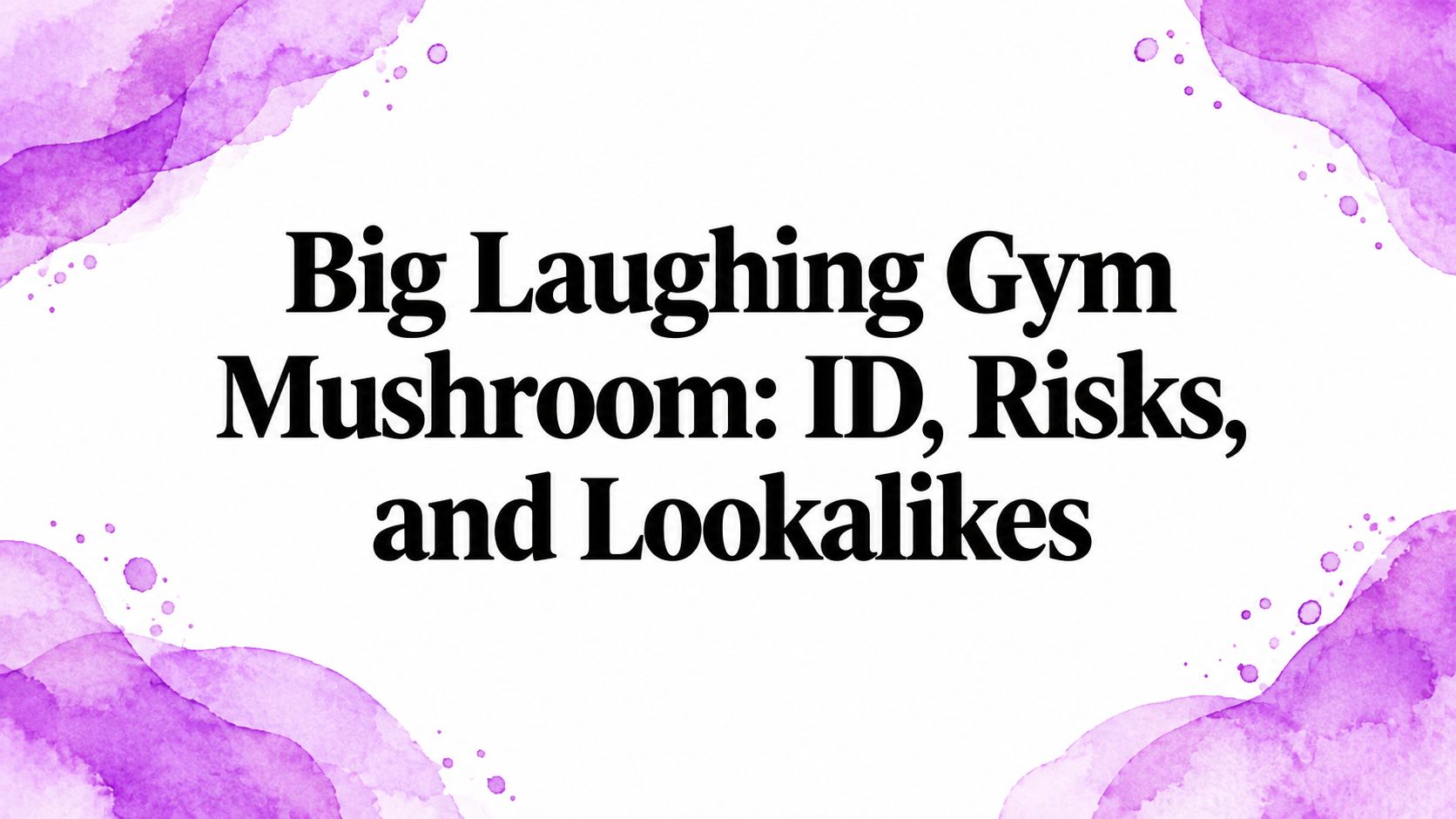 Big Laughing Gym Mushroom: ID, Risks, and Lookalikes
