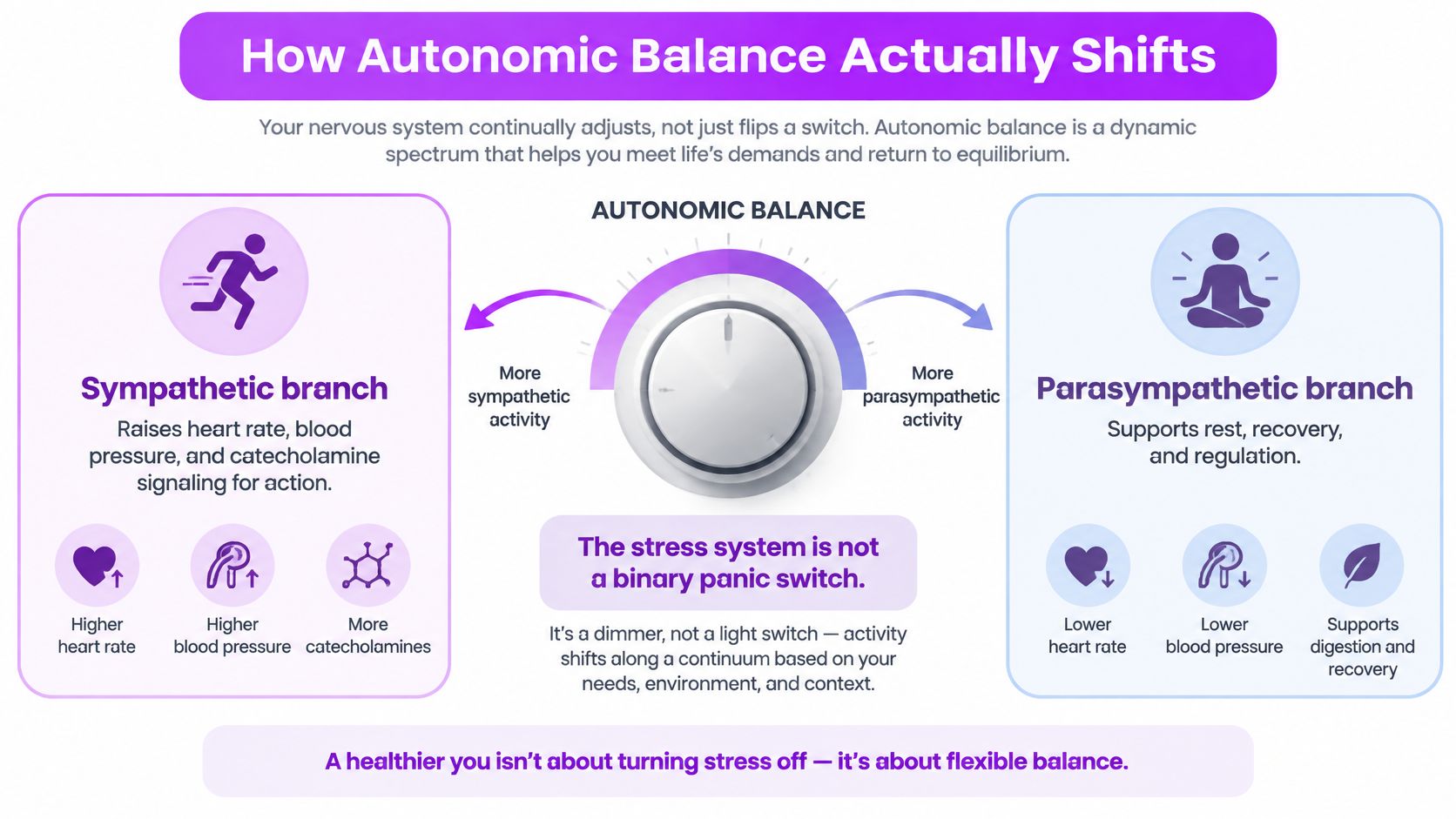 A diagram illustrating autonomic balance as a dynamic spectrum between sympathetic arousal and parasympathetic rest and recovery.