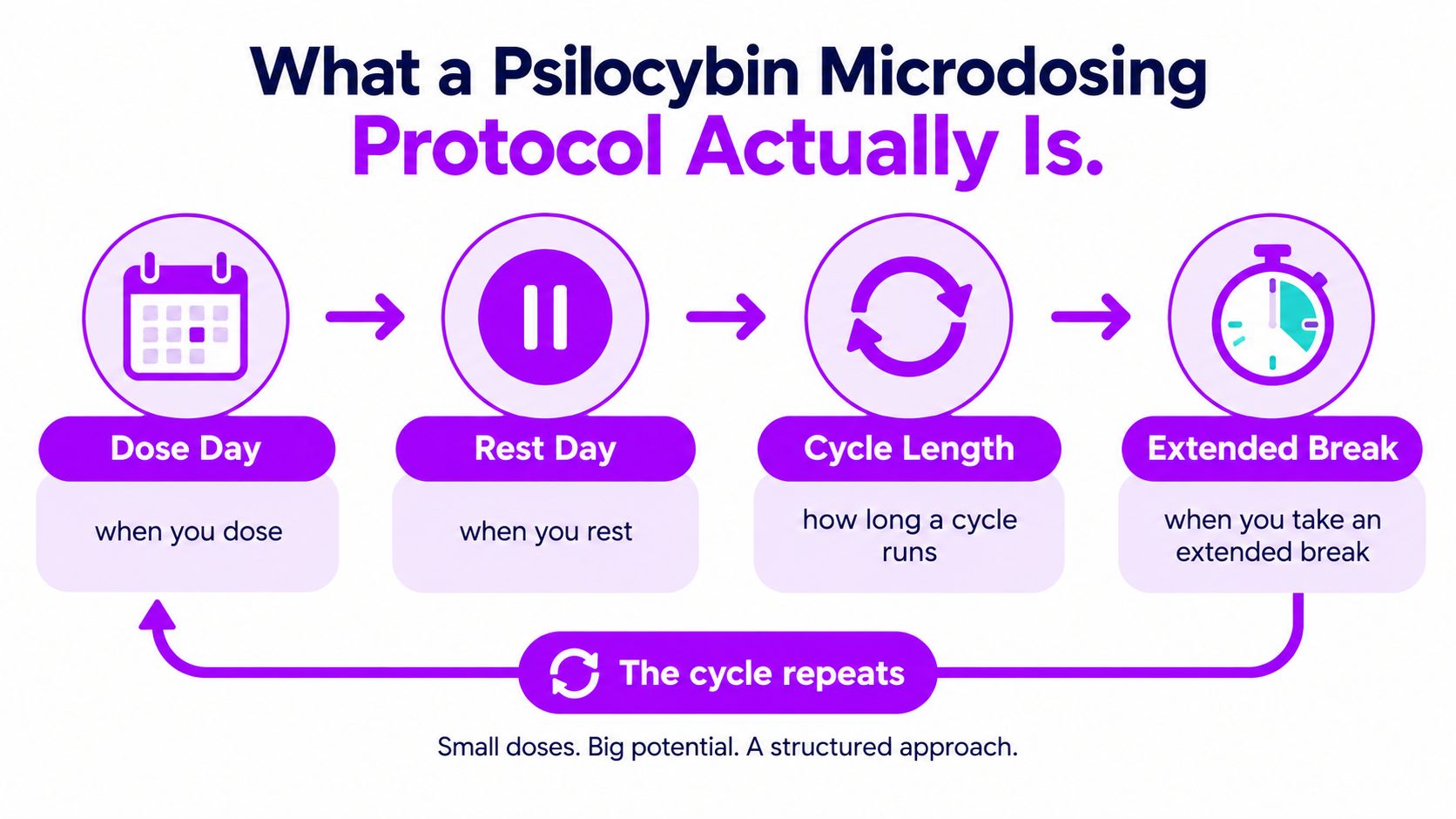 An infographic showing the four components of a psilocybin microdosing protocol including dose, rest, cycle, and breaks.