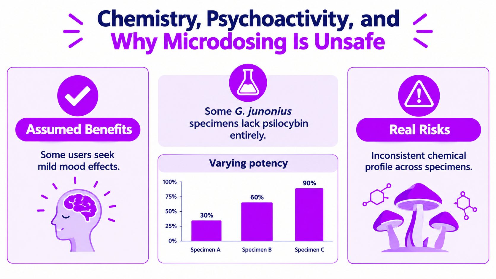 An infographic titled Chemistry, Psychoactivity, and Why Microdosing Is Unsafe highlighting risks and varying mushroom potency levels.