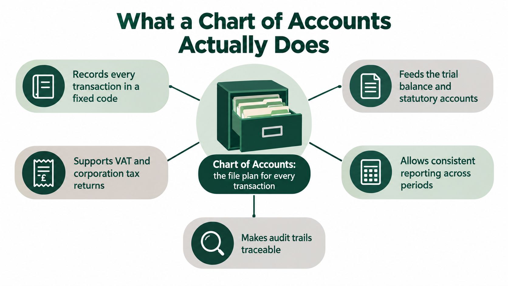 An infographic titled What a Chart of Accounts Actually Does showing how it organizes business financial transactions.