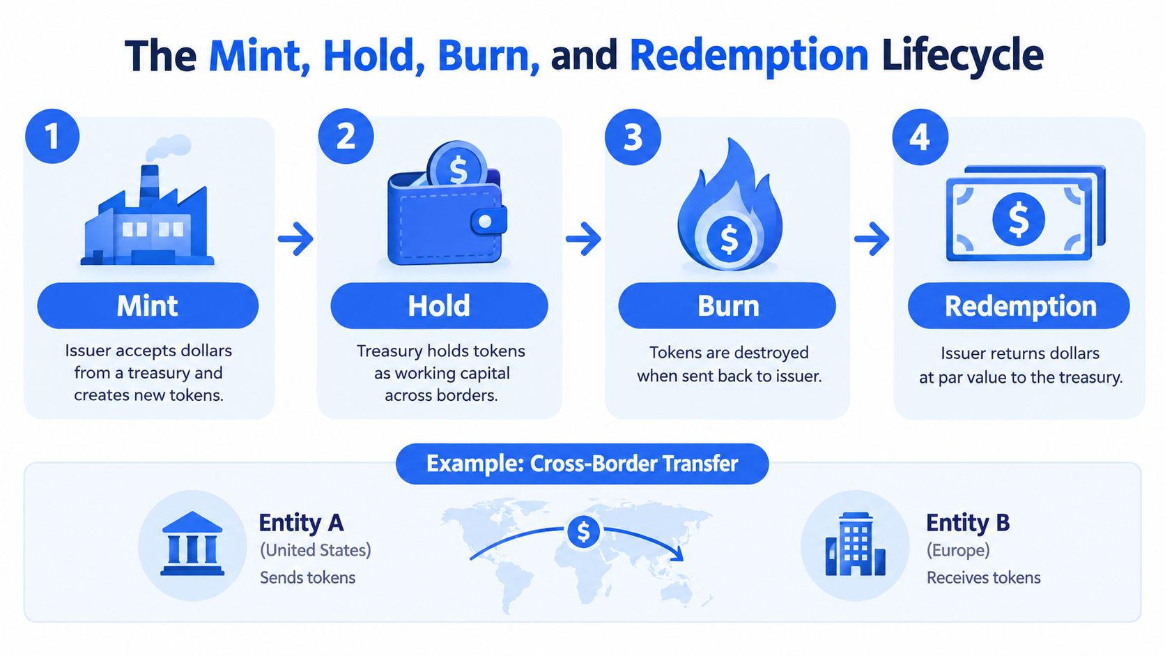 A diagram illustrating the lifecycle process of minting, holding, burning, and redeeming fiat-backed stablecoin tokens.