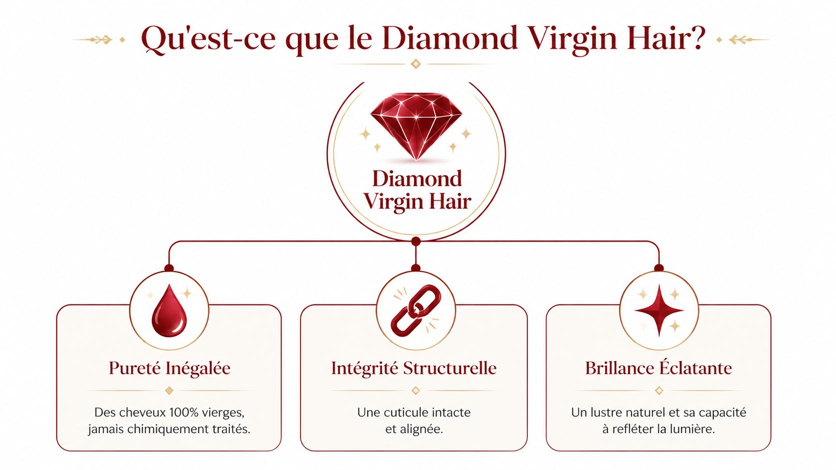 Une infographie expliquant les caractéristiques du Diamond Virgin Hair, soulignant sa pureté, son intégrité et sa brillance.