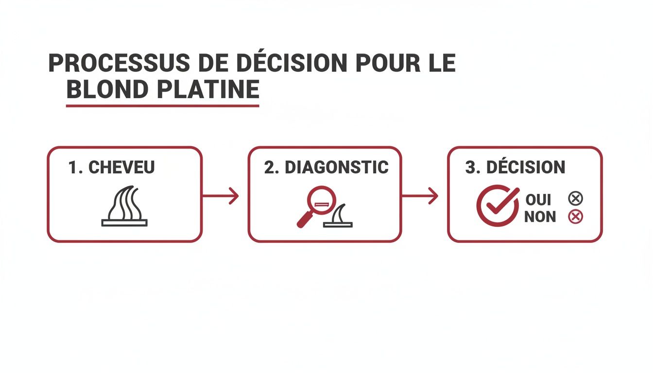 Un diagramme montrant les trois étapes du processus de décision pour obtenir des cheveux blond platine : cheveu, diagnostic et décision finale.