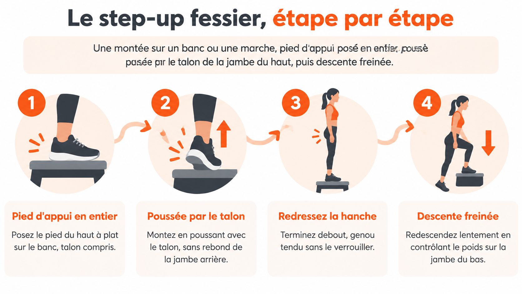 Illustration étape par étape montrant la bonne technique pour réaliser un exercice de step-up pour les fessiers.