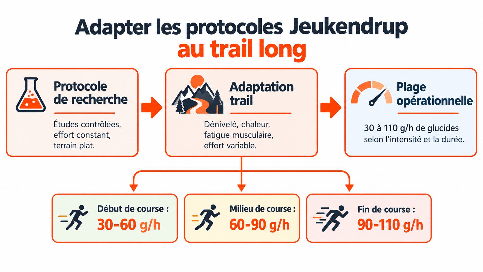 Infographie montrant l'adaptation des protocoles nutritionnels de Jeukendrup pour la pratique du trail longue distance.