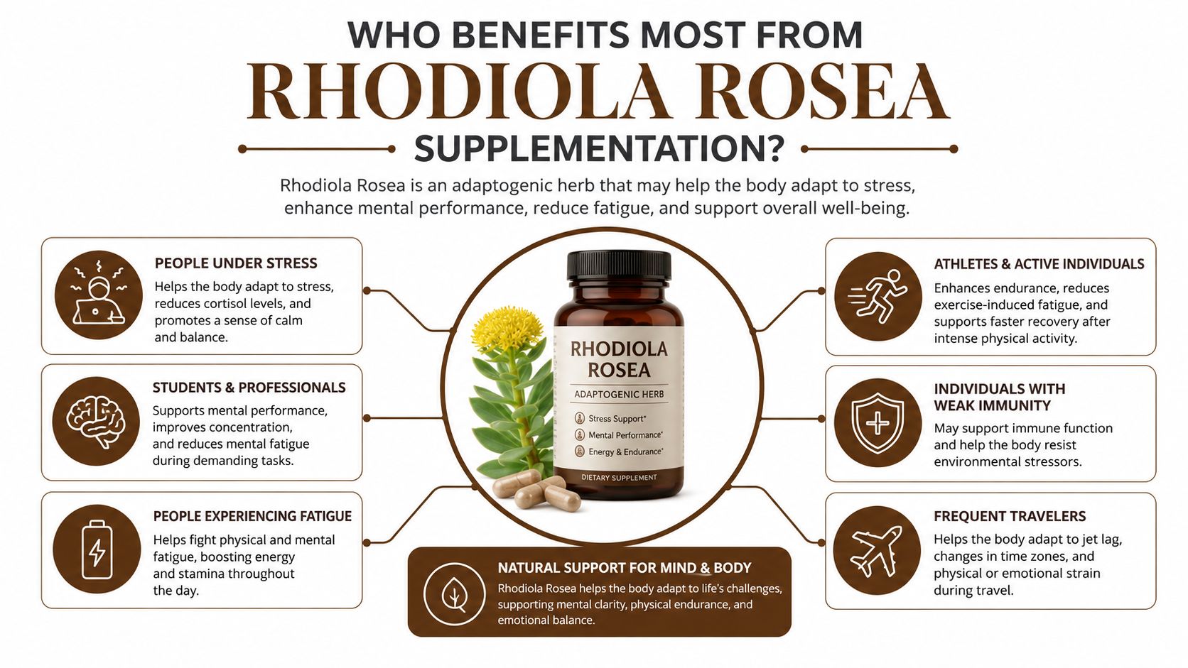 An infographic titled Who Benefits Most from Rhodiola Rosea Supplementation highlighting various health advantages and target groups.