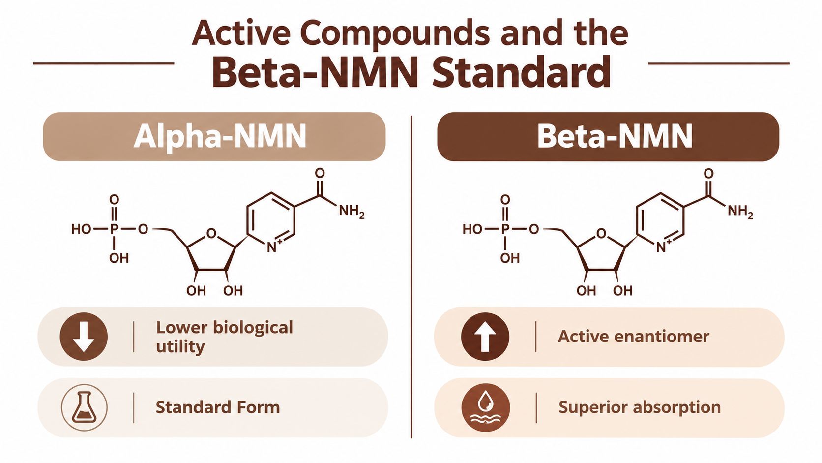 A comparison chart showing structural and functional differences between Alpha-NMN and Beta-NMN supplement forms.