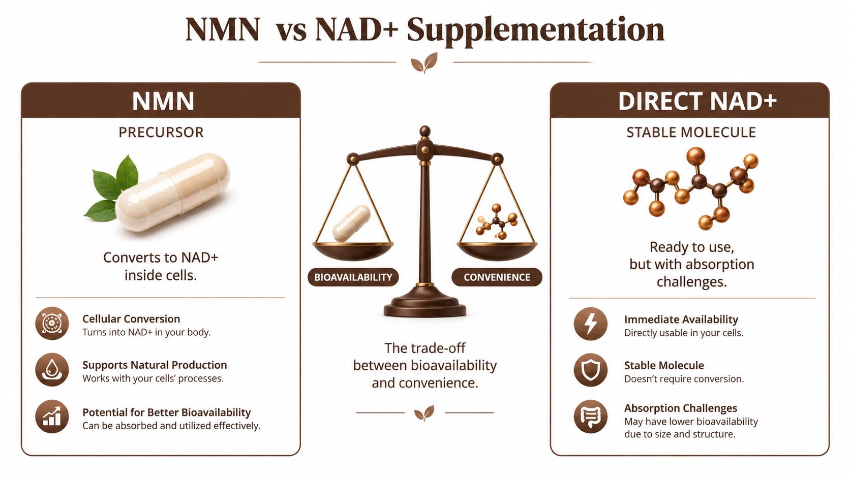 A comparison infographic between NMN precursor supplements and direct NAD plus molecules illustrating their bioavailabilty and conversion differences.