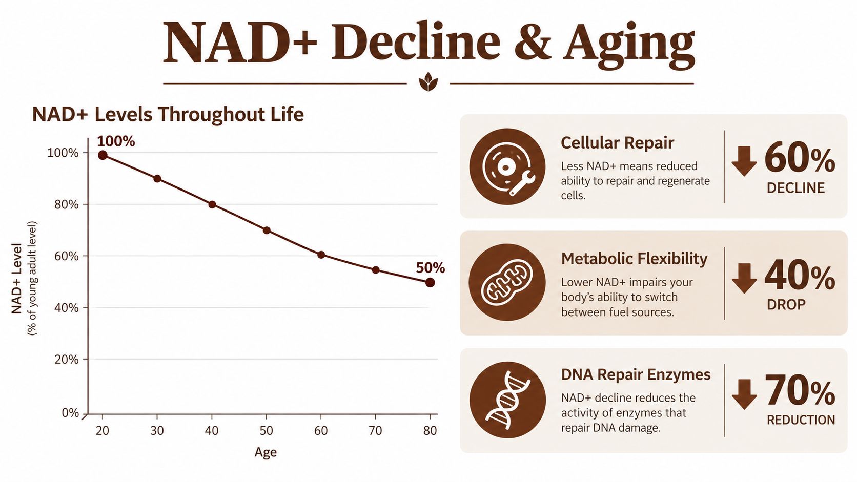 A chart illustrating the natural decline of NAD+ levels in the human body as age increases from 20 to 80.