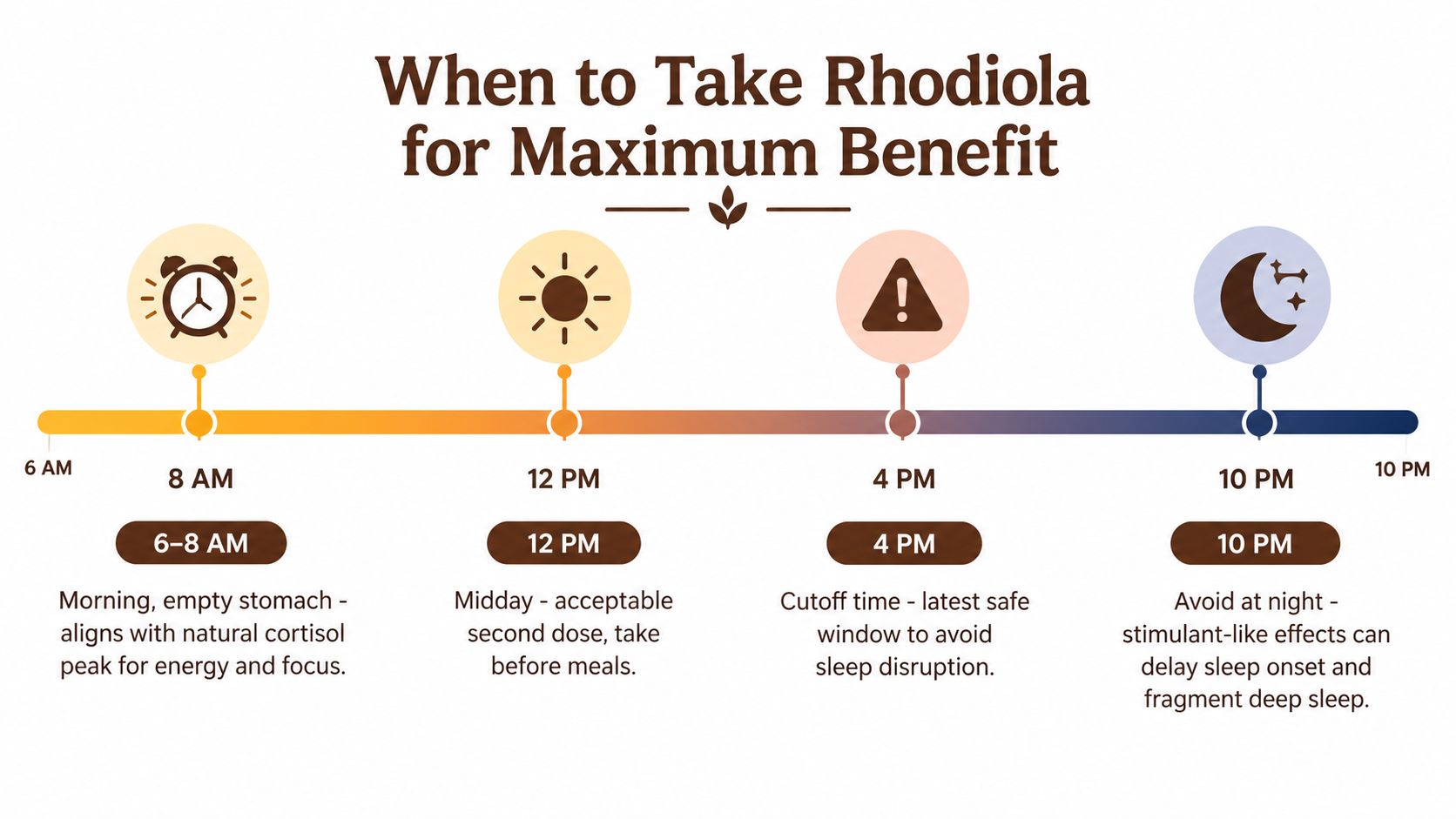 A timeline graphic showing the optimal times to take Rhodiola supplements throughout the day for maximum benefit.