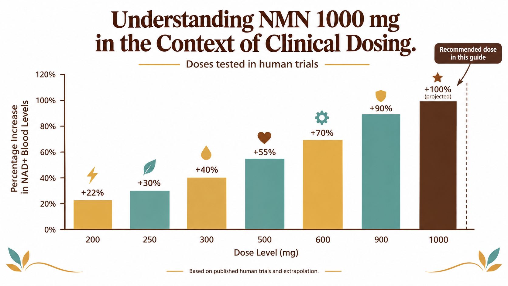 A bar chart showing the projected percentage increase in NAD+ blood levels based on different NMN doses.