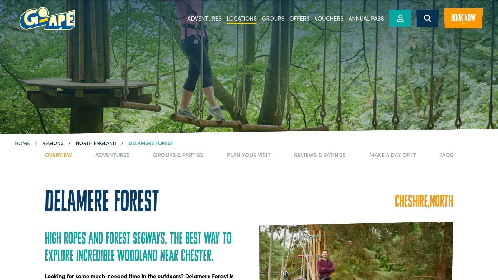 Go Ape (Delamere Forest; also Buxton)