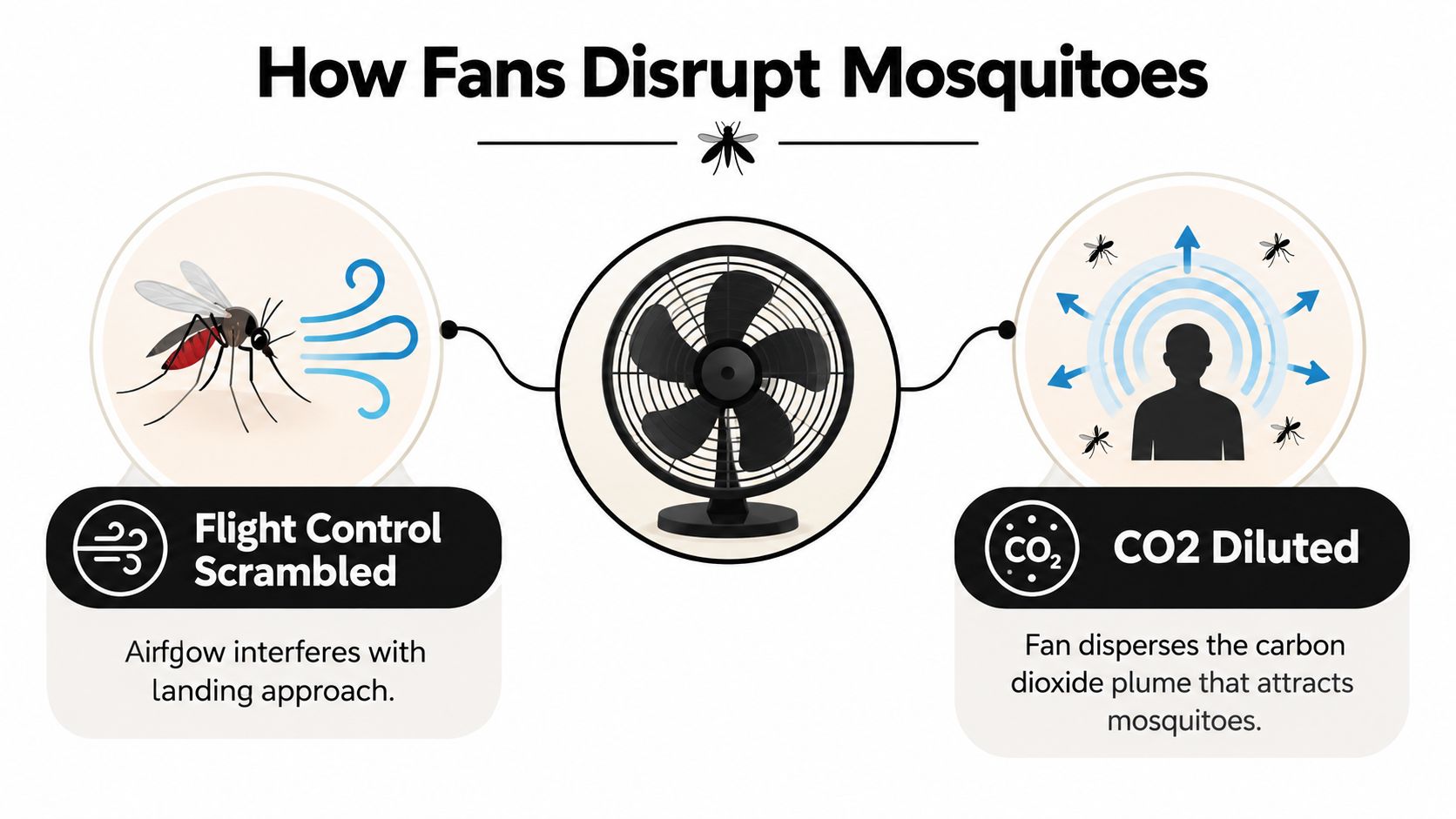An infographic showing how electric fans disrupt mosquitoes by scrambling their flight and diluting CO2 plumes.