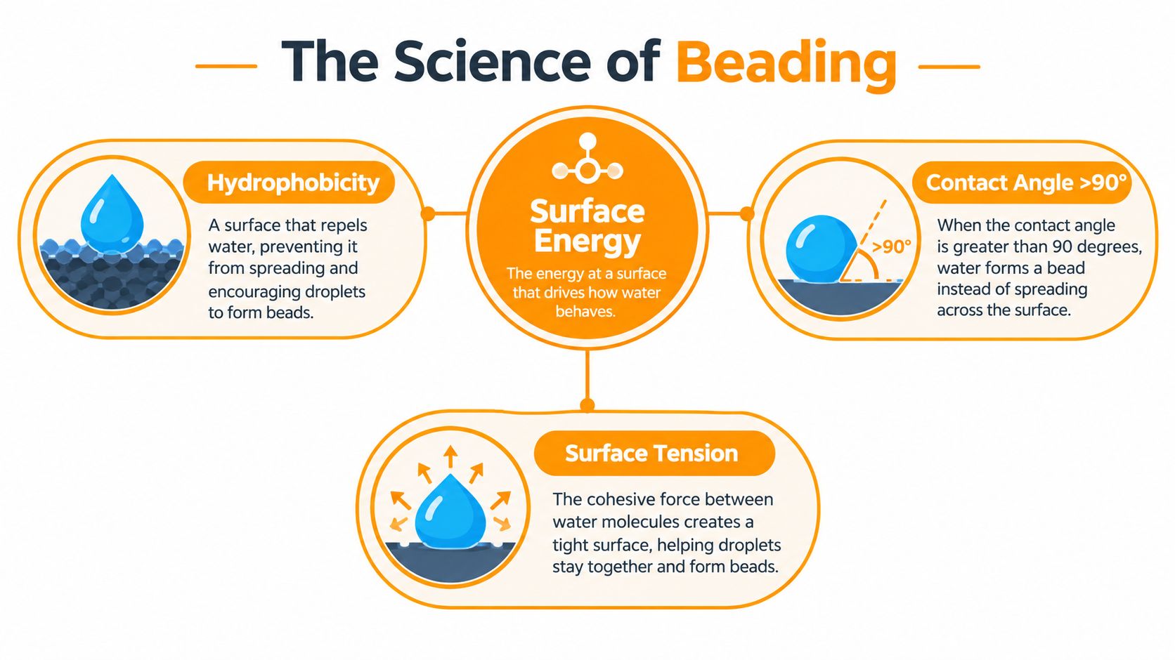 An infographic explaining the science of water beading through surface energy, hydrophobicity, contact angle, and surface tension.