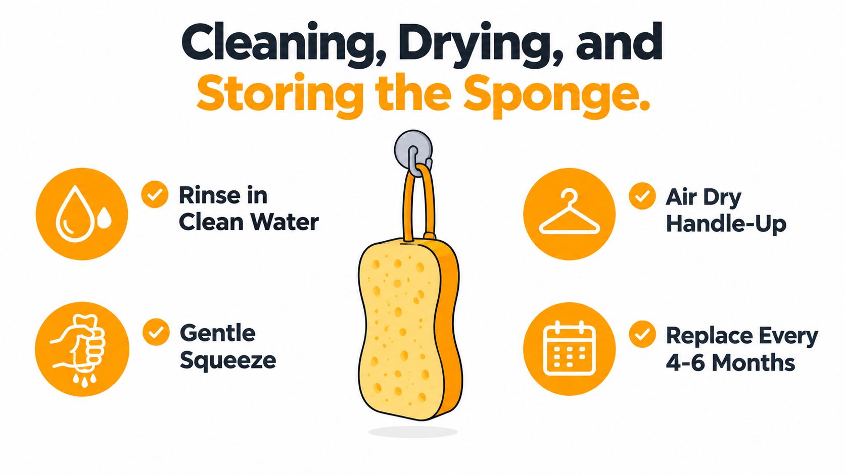 An infographic showing instructions on how to clean, dry, and store a sponge with a handle.