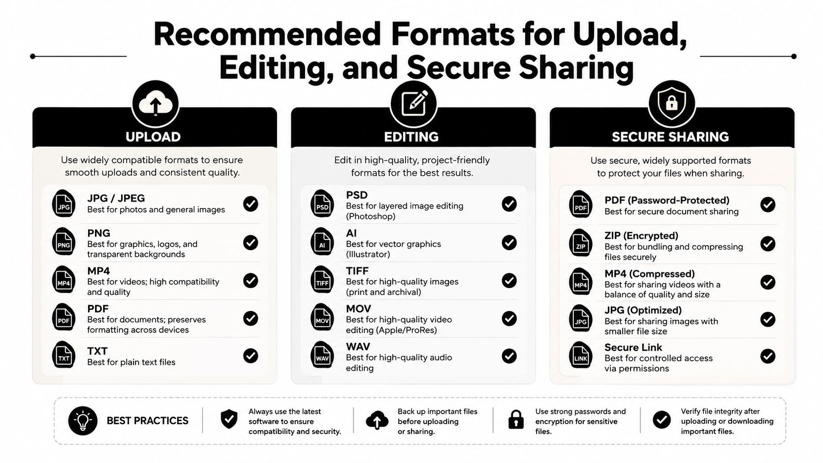 An infographic showing recommended file formats for uploading, professional editing, and secure sharing of digital documents and media.