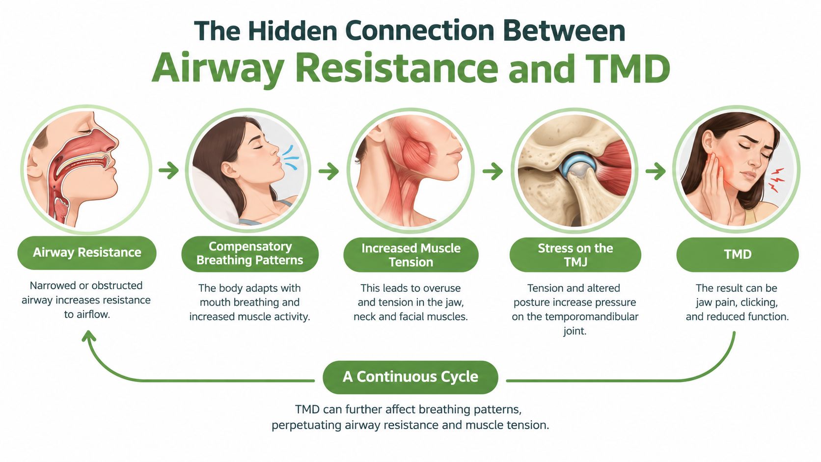 An infographic illustrating the cyclical relationship between airway resistance, breathing patterns, muscle tension, and TMJ pain.