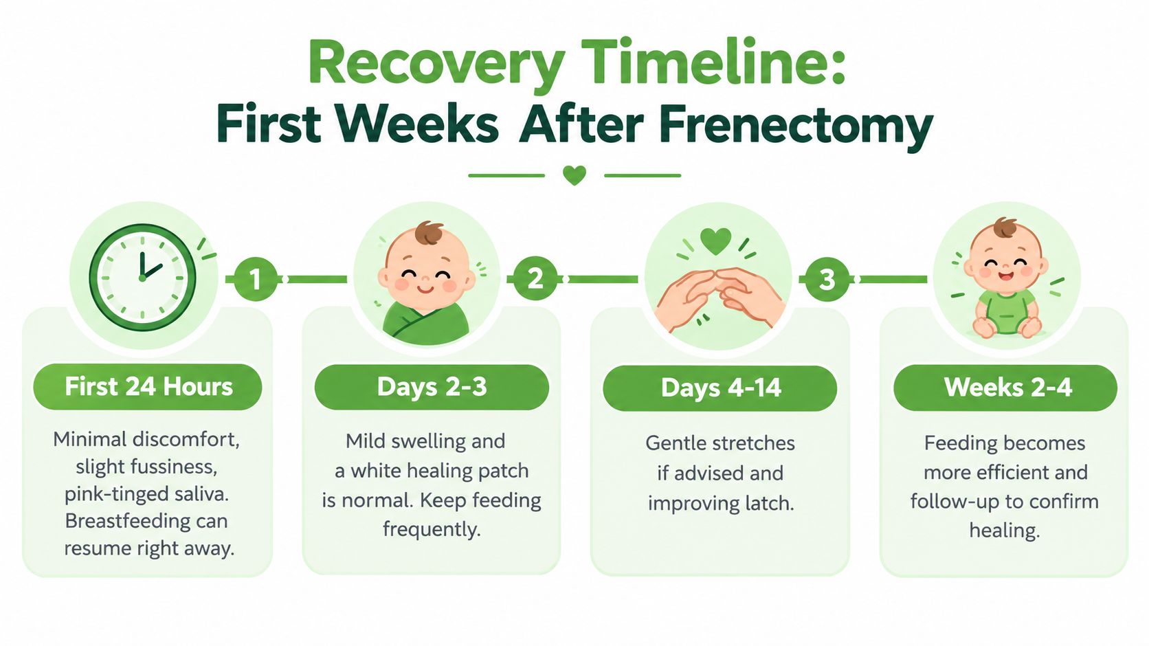 A timeline graphic illustrating the recovery stages for an infant during the first weeks after a frenectomy.