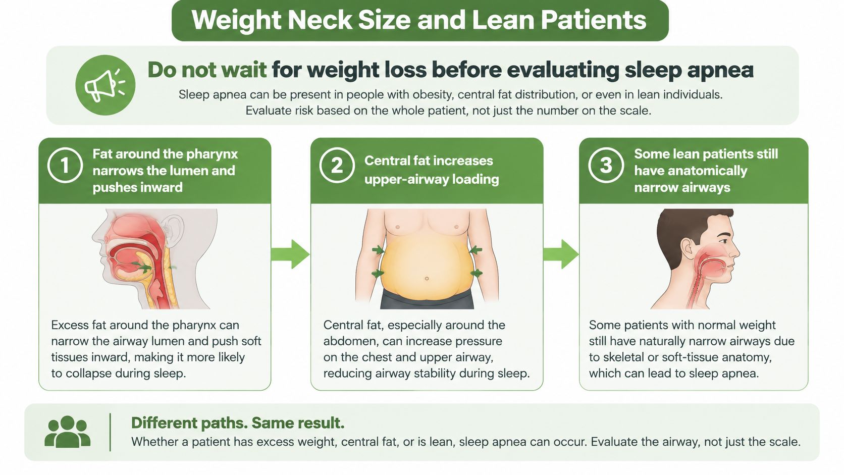 An infographic explaining that obstructive sleep apnea can occur in both obese and lean individuals due to anatomy.