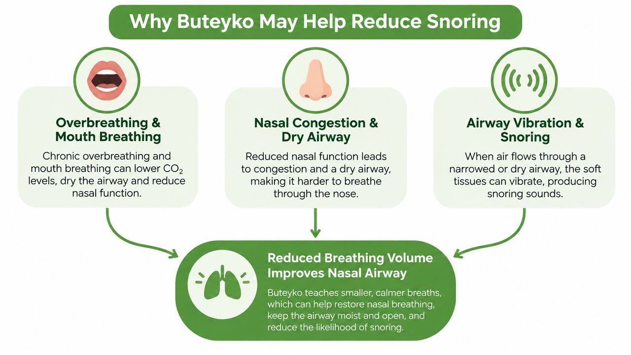 An infographic explaining how Buteyko breathing techniques can help reduce snoring by improving nasal airway function.