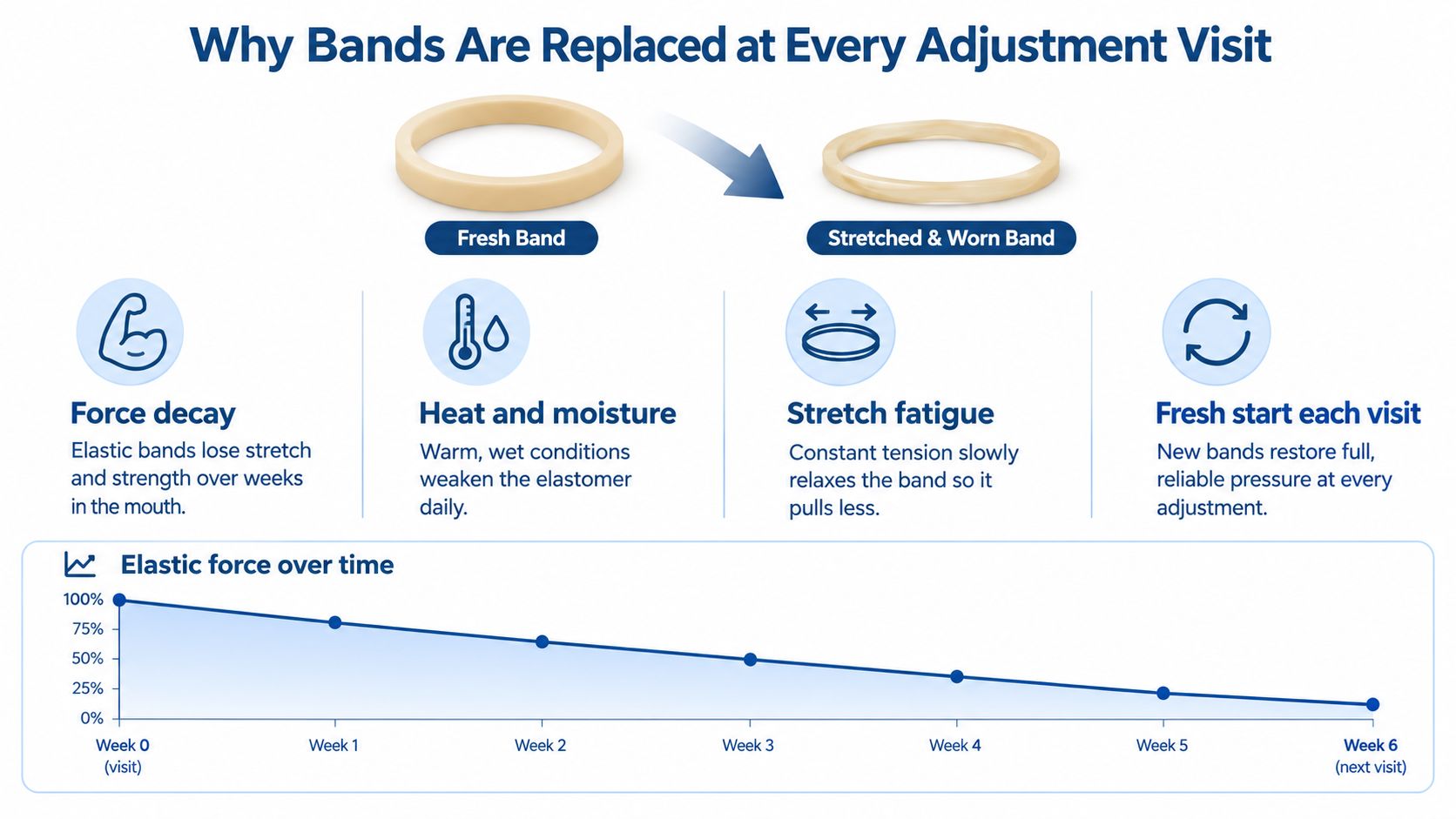 A diagram explaining why orthodontic elastic bands must be replaced regularly due to force decay and fatigue.