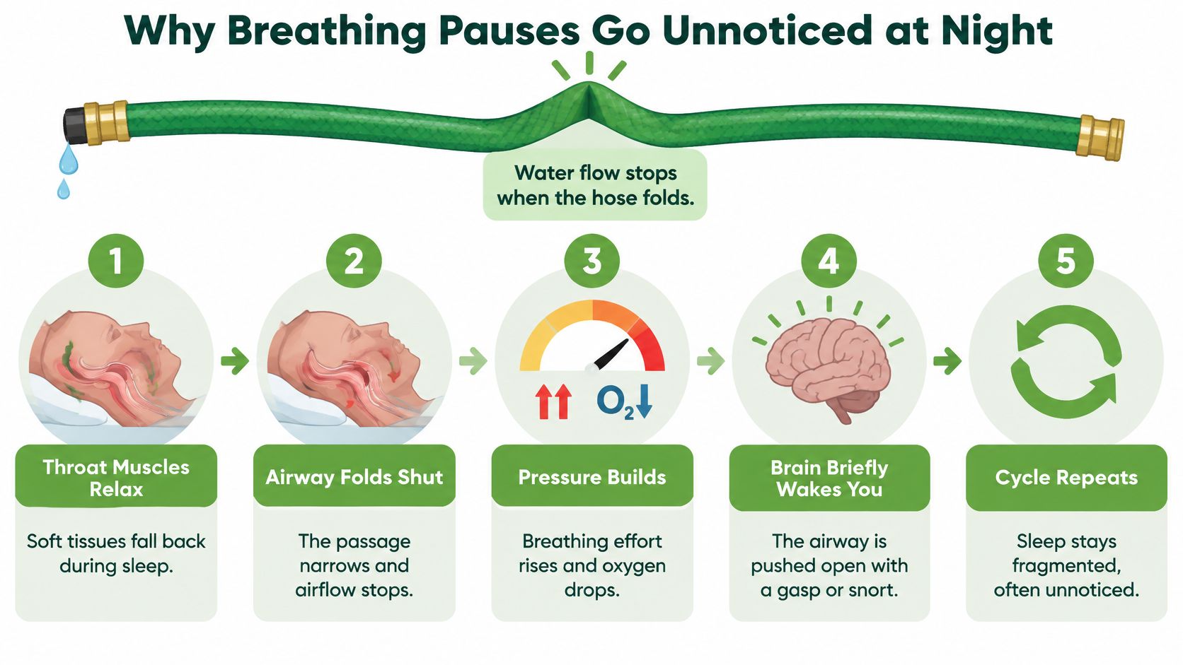 A diagram illustrating how obstructive sleep apnea causes breathing pauses during sleep through a five step process.
