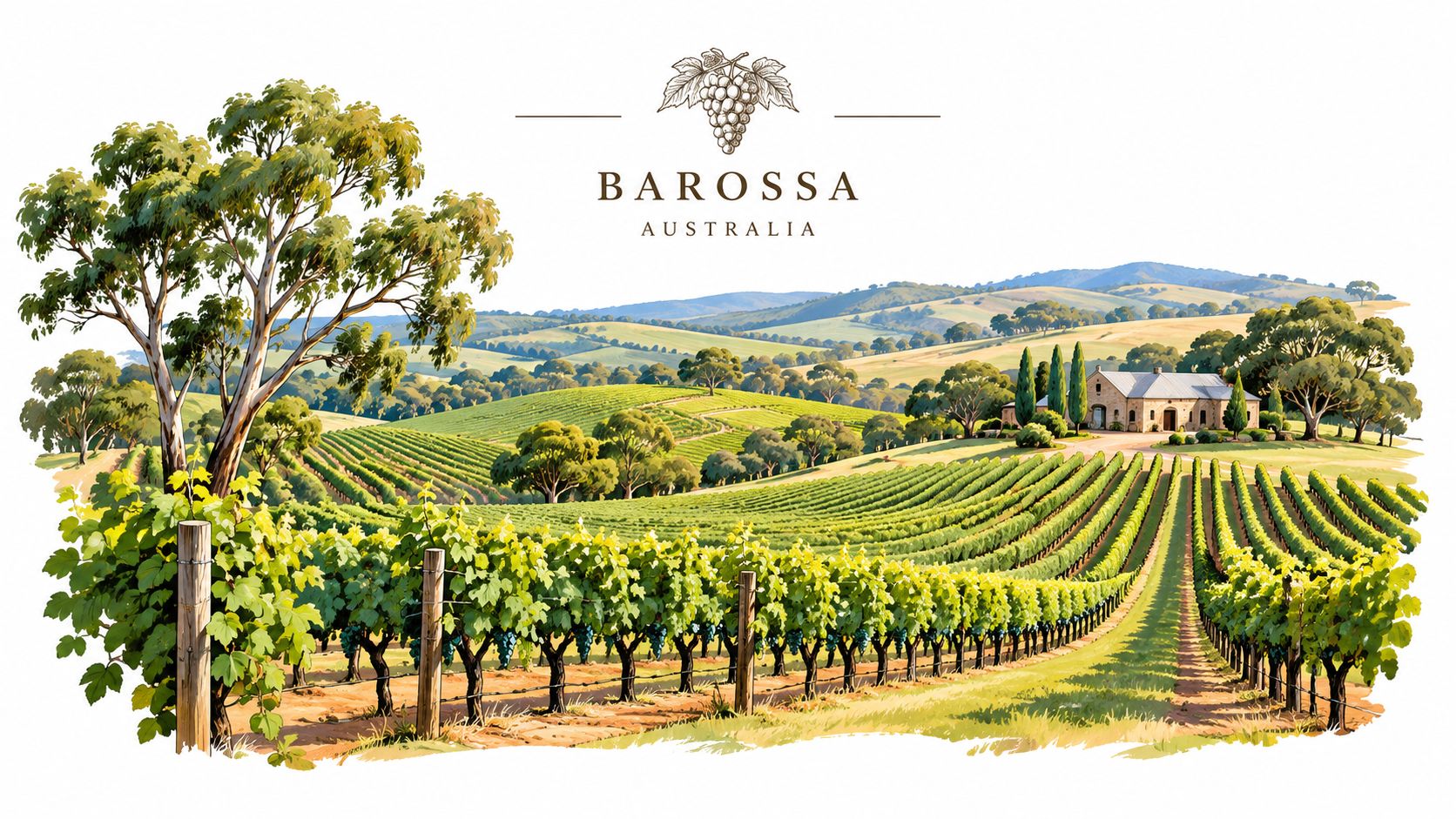 A scenic illustration of the Barossa Valley vineyards in Australia with a house and rolling hills