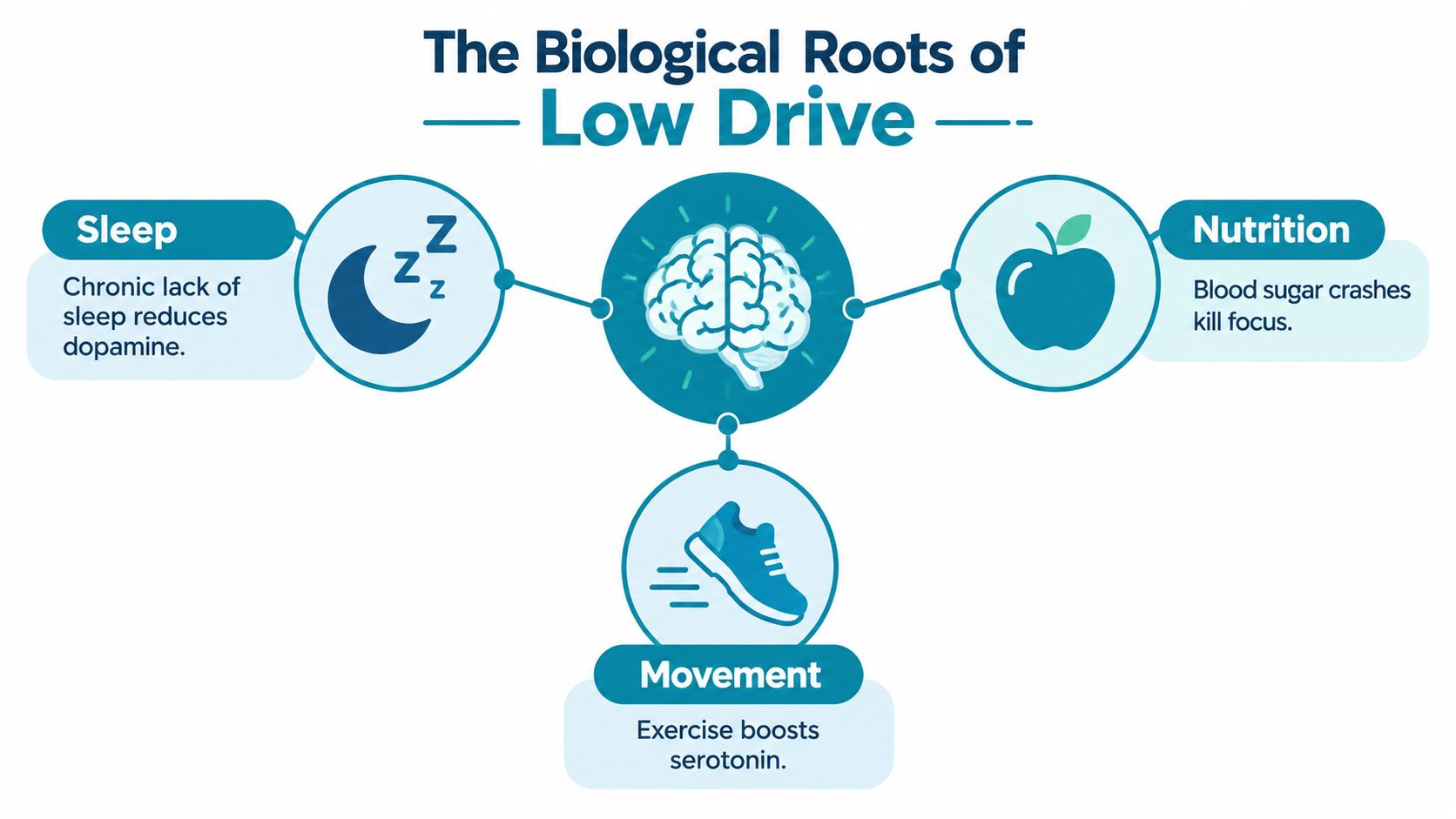 An infographic titled The Biological Roots of Low Drive, illustrating how sleep, nutrition, and movement affect motivation.