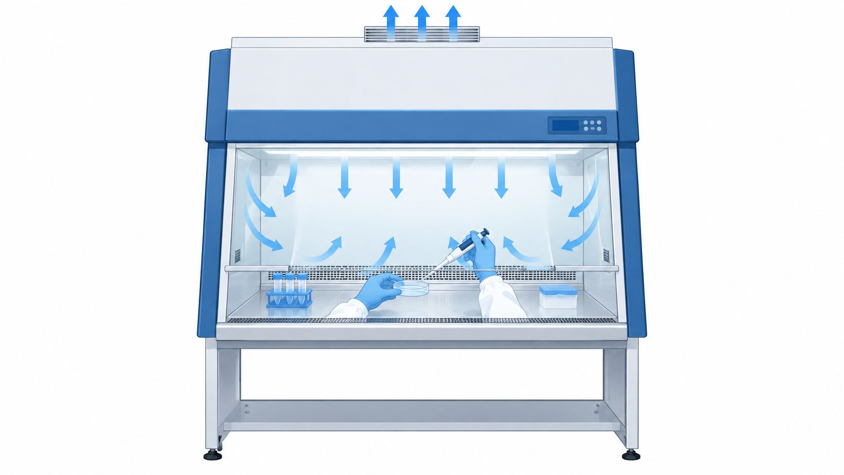 A scientist working inside a sterile laminar flow hood with airflow indicators shown in a laboratory setting.