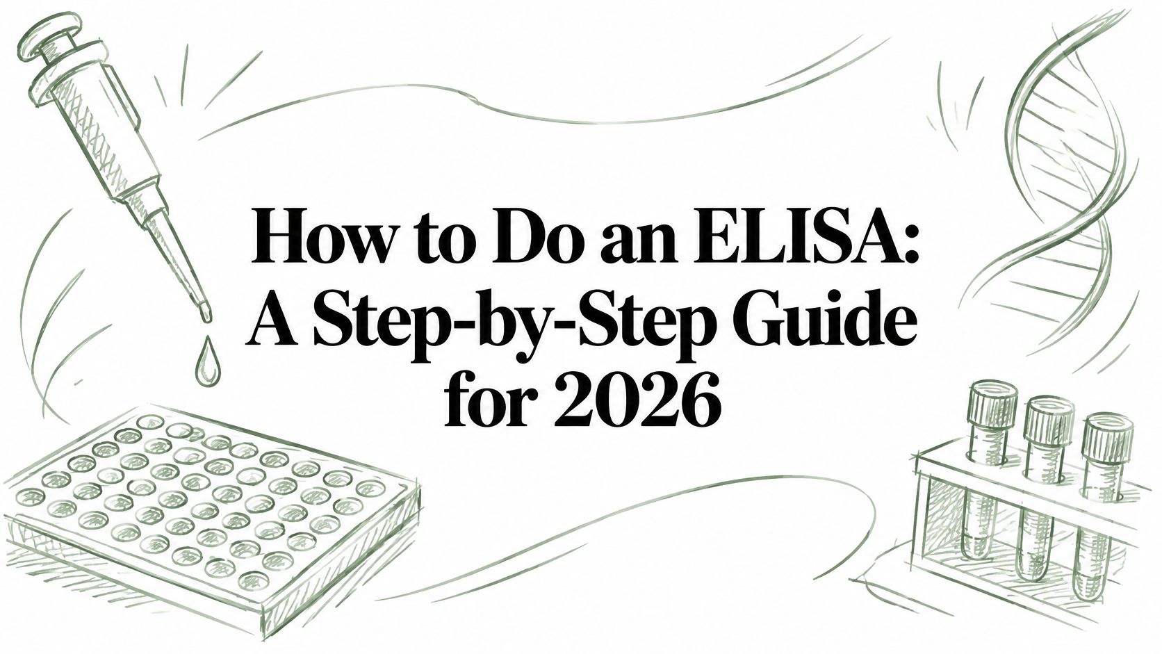 How to Do an ELISA: A Step-by-Step Guide for 2026