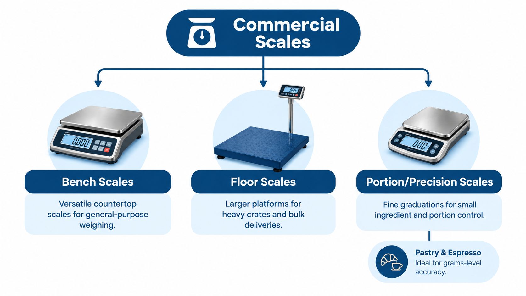 A diagram illustrating three main types of commercial scales: bench, floor, and portion or precision scales.
