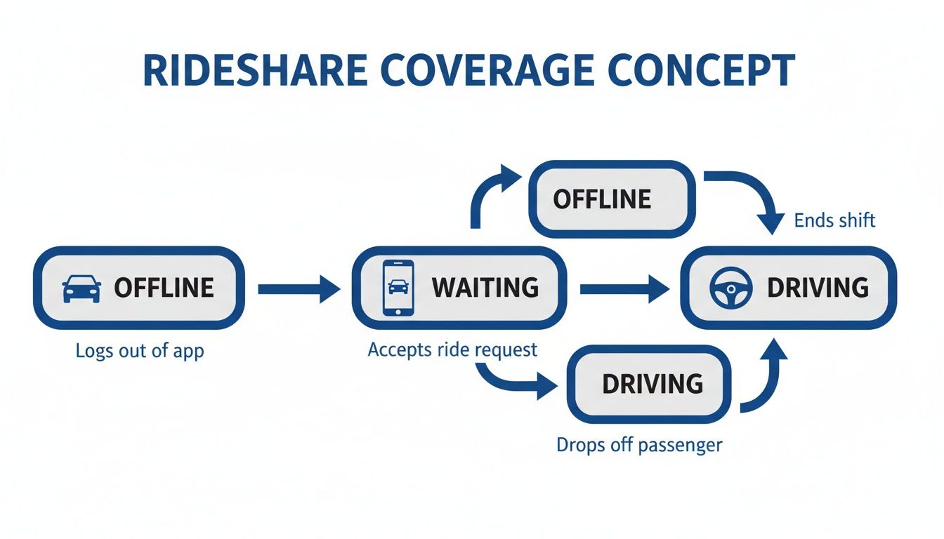 What Does Rideshare Insurance Cover in Florida - Personal Injury ...