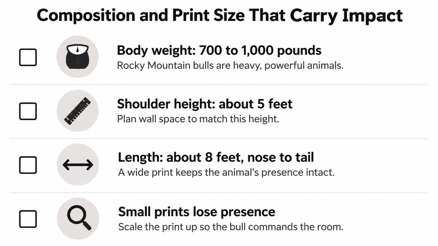 A list describing the physical size and ideal print scale for a bull elk photograph.