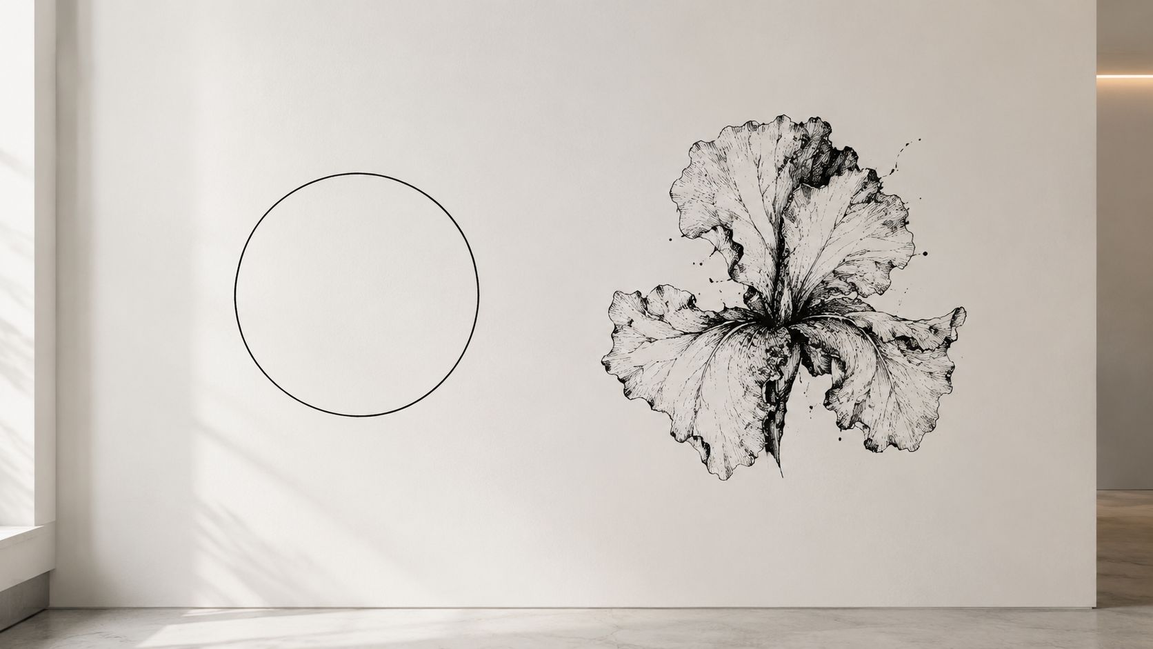 A minimalist white wall featuring a thin black circle outline and a detailed black and white iris drawing.