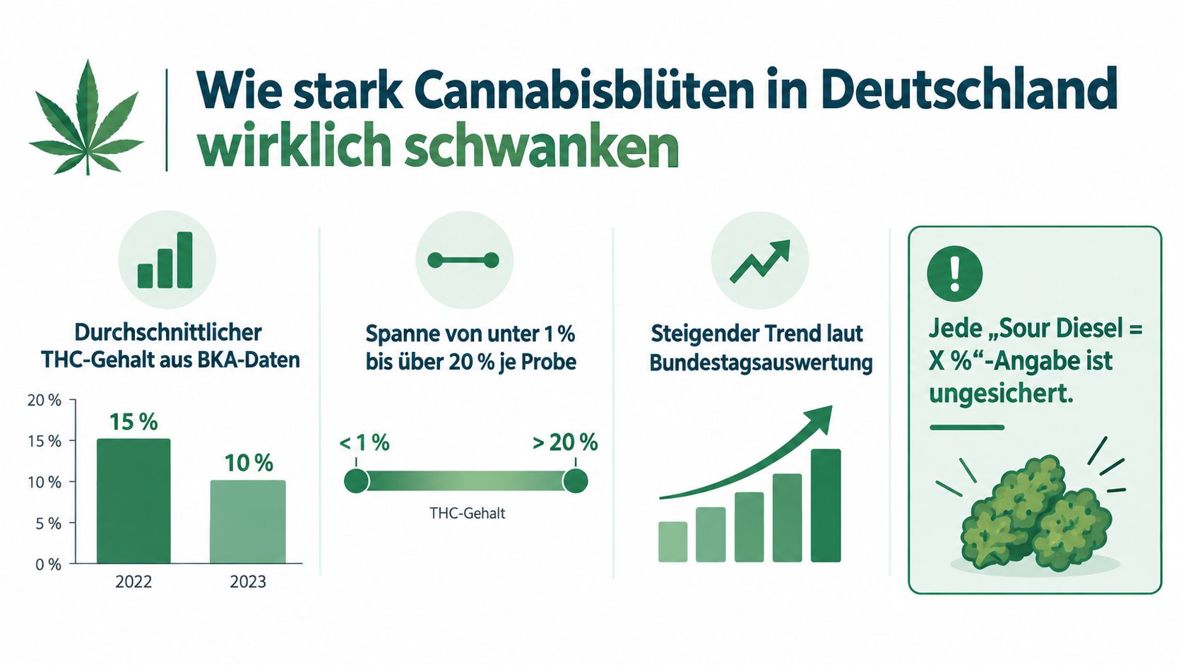 Infografik über den schwankenden THC-Gehalt von Cannabisblüten in Deutschland basierend auf BKA-Daten und Bundestagsauswertungen.