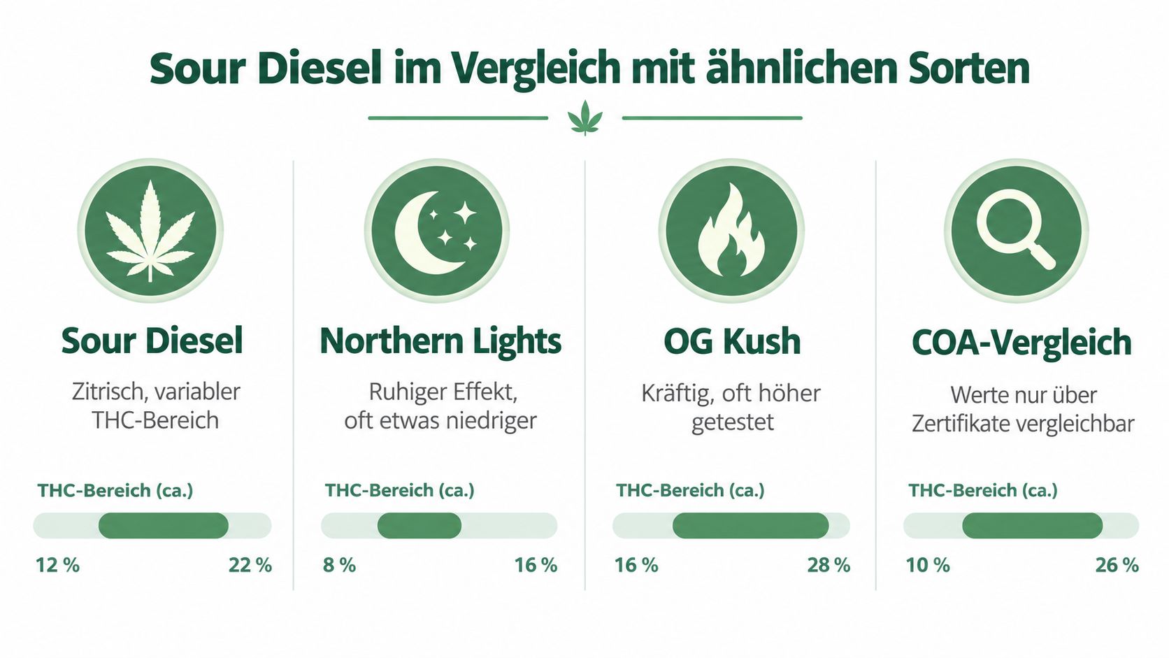 Vergleichsgrafik des THC-Gehalts von Sour Diesel, Northern Lights, OG Kush und einem generellen COA-Vergleich.
