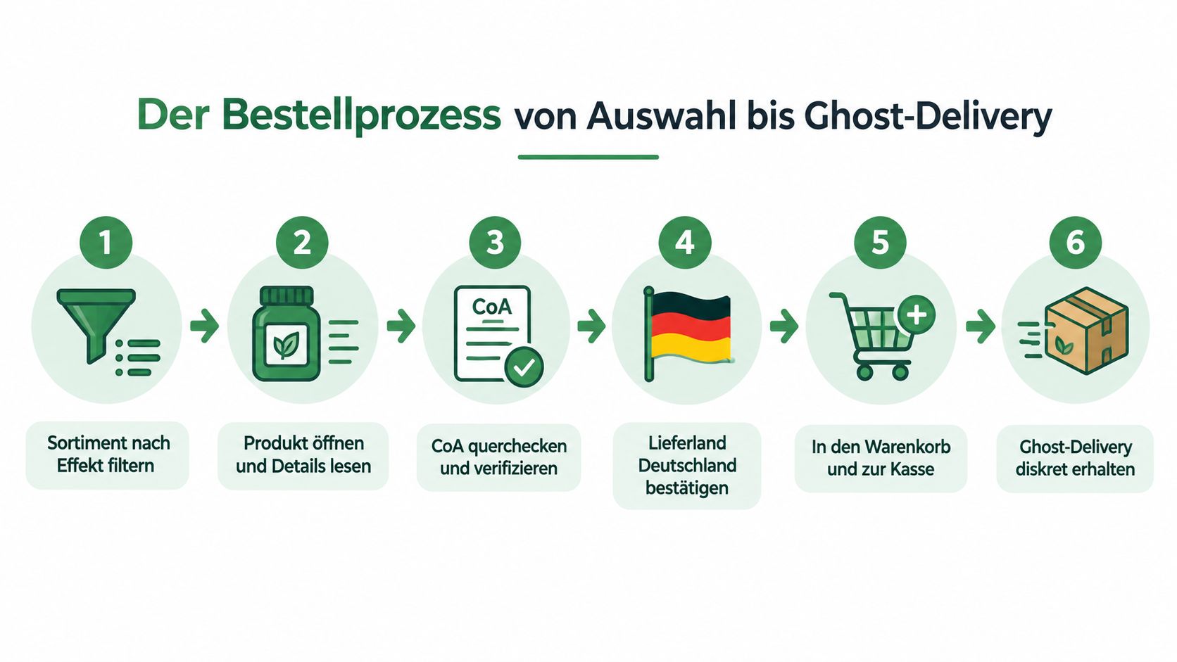 Eine Infografik, die den sechsstufigen Bestellprozess von der Produktauswahl bis zur diskreten Ghost-Delivery Liefermethode in Deutschland erklärt.